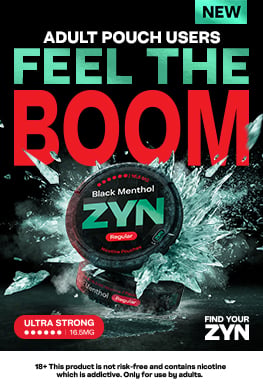 ZYN Black Menthol 16.5mg